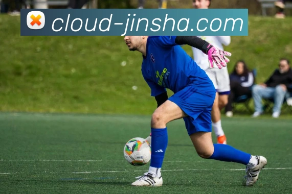 金沙国际APP 封面图